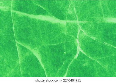 Light Green abstract vector illustration background