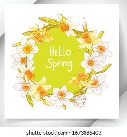 
A light green background with Hello Spring lettering framed by a round daffodil frame. Design element for greeting card, banner, invitation, flyer.
