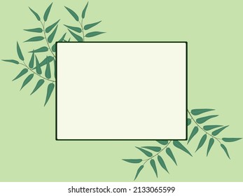 Light green background with square frame and eucalyptus leaves vector illustration