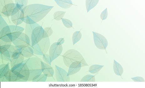 Light green background with transparent veined leaves