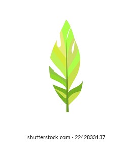 Illustration dessinée en plumes d'oiseau vert clair. Coquille grise avec motif abstrait pour le design web isolée sur fond blanc. Le concept du plumage.