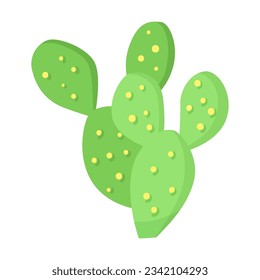 Light green cacti vector illustration. Non blooming cacti isolated on white background. Plant, succulent concept