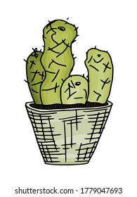 cactus verde claro en una olla simple. vector de dibujo de dibujo de dibujos de dibujos