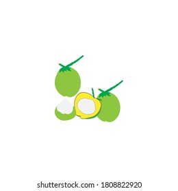 light green coconut vector design ilustration icon templat
