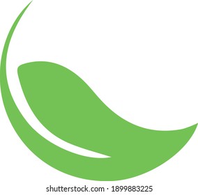 light green curved leaf illustration