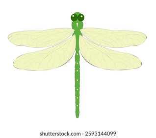 Light green dragonfly on a white background. Vector illustration.