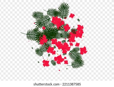 Light Green Flora Background Transparent Vector. Leaf Modern Design. Red Strelitzia. Beauty Illustration. Pink Hawaiian Frame.