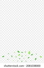 Light Green Foliage Background Transparent Vector. Leaf Elegant Illustration. Symbol Texture. Green Clear Frame. Leaves Banner.