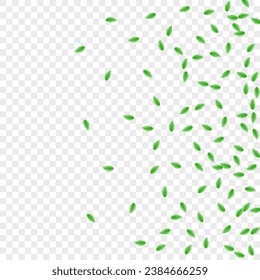 Light Green Foliage Background Transparent Vector. Leaf Concept Design. Growing Frame. Green Watercolor Texture. Plant Mint.