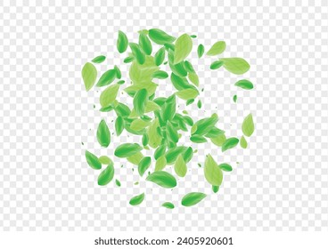 Light Green Foliage Background Transparent Vector. Greenery Ecology Illustration. Vitality Card. Green Clean Frame. Leaf Summer.