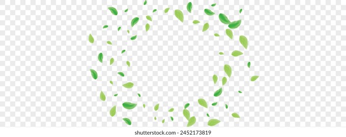 Light Green Foliage Background Transparent Vector. Leaf Environment Design. Template Card. Green Pattern Illustration. Plant Cosmetic.