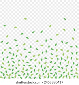 Light Green Foliage Background Transparent Vector. Leaves Border Design. Element Frame. Greenish Vivid Card. Plant Abstract.