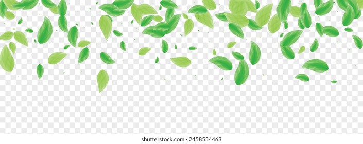Fondo de follaje verde claro Vector transparente. Textura de estilo verde. Cuadro de mezcla. Diseño de rama verde. Deja Movimiento.