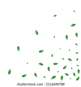 Light Green Foliage Background White Vector. Vegetation Spring Design. Realistic Illustration. Green Botanical Card. Leaves Watercolor.