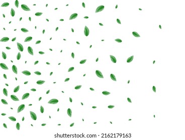Vector blanco de fondo de follaje verde claro. Deja El Marco Simple. Tarjeta de ecología. Ilustración de elementos verdes. Borde de hoja.