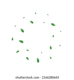 Vector blanco de fondo de follaje verde claro. Textura de la pancarta verde. Diseño limpio. Ilustración Pacífica de Greenish. Proceso de planta.