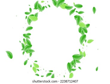 Light Green Foliage Background White Vector. Vegetation Light Design. Floral Card. Green Clean Texture. Plant Rustic.