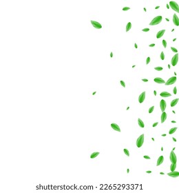 Light Green Foliage Background White Vector. Vegetation Banner Frame. Growth Design. Green Sprout Card. Leaf Vitality.