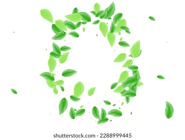 Light Green Foliage Background White Vector. Greenery Flora Illustration. Fresh Frame. Green Refreshing Card. Plant Vitality.