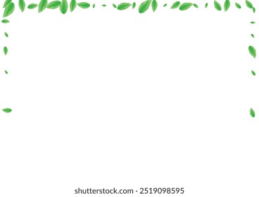 Light Green Foliage Background White Vector. Plant Shape Design. Drink Frame. Greenish Flying Card. Sheet Summer.