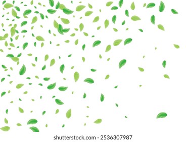 Light Green Foliage Background White Vector. Leaves Pure Frame. Cover Illustration. Green Shape Design. Leaf Beauty.