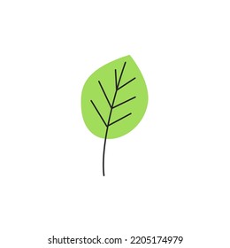 Light Green Fresh Autumn Leaf With Veins Isolated On White Background. Fall Birch Foliage Season. Decorative Deciduous Item. Simple Single Birch Leaf Silhouette. Hand Drawn Flat Vector Illustration