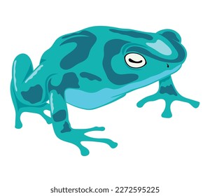 light green frog amphibian animal