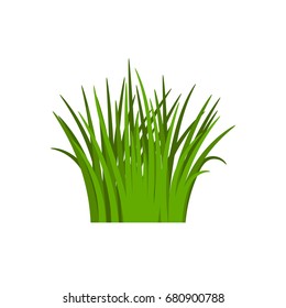 Light green grass isolated on white background, vector illustration