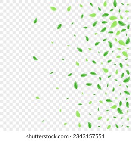 Light Green Greenery Background Transparent Vector. Leaf Symbol Illustration. Mint Card. Greenish Copy Texture. Sheet Realistic.