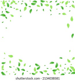 hellgrüner Hintergrund, weißer Vektorgrafik. Leaf Copy Design. Style Illustration. Grüne friedliche Karte. Blätter fliegen.