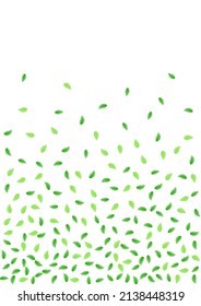 Light Green Greenery Background White Vector. Foliage Space Frame. Wild Design. Greenish Pattern Card. Leaf Eco.