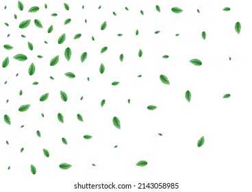 Light Green Greenery Background White Vector. Plant Symbol Texture. Decorative Frame. Greenish Flavor Illustration. Leaf Shape.