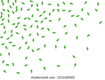 Light Green Greenery Background White Vector. Sheet Flavor Texture. Herbarium Frame. Greenish Decorative Illustration. Plant Eco.