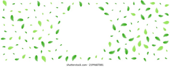 hellgrüner Hintergrund, weißer Vektorgrafik. Notenstil-Illustration. Silhouette-Rahmen. Grüne Agrarstruktur. Vegetation Vibrant.