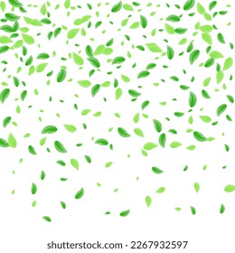 Light Green Greenery Background White Vector. Leaves Twig Frame. Refreshing Illustration. Green Pattern Card. Plant Label.