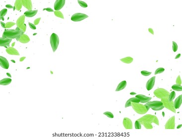 Light Green Greenery Background White Vector. Vegetation Copy Frame. Agriculture Illustration. Greenish Summer Card. Plant Vivid.