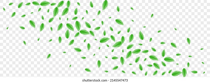 Light Green Leaf Background Transparent Vector. Foliage Isolate Design. Subtle Texture. Green Shape Card. Sheet Delicate.