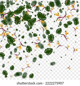 Light Green Leaf Background Transparent Vector. Palm Garden Backdrop. Green Plant. Stylish Pattern. Red Ornament Design.
