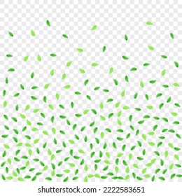 Light Green Leaf Background Transparent Vector. Greenery Wind Frame. Cosmetic Card. Green Isolate Design. Plant Light.