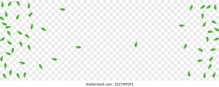 hellgrüner Leaf-Hintergrund transparenter Vektorgrafik. Foliage Flying Design. Abstrakte Karte. Green Summer Illustration. Vegetation Kosmetisch.