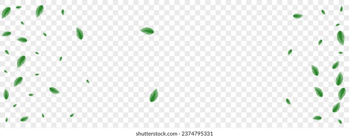 Light Green Leaf Background Transparent Vector. Foliage Delicate Card. Rustic Frame. Greenish Selective Illustration. Leaves Decoration.