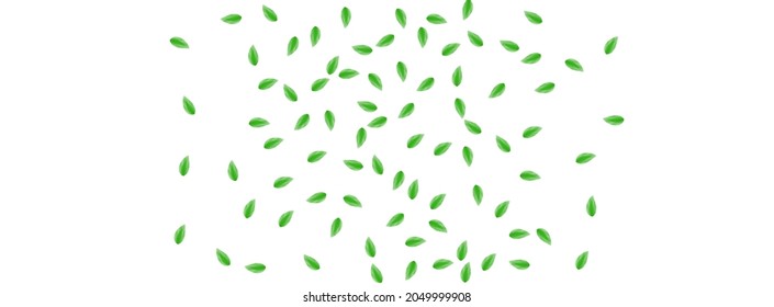 Vector blanco de fondo de hoja verde claro. Textura de herbario de vegetación. Tarjeta fresca. Diseño de silueta verde. Delicado Foliage.