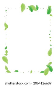 Vector blanco de fondo de hoja verde claro. Tarjeta de crecimiento de follaje. Diseño de concepto. Ilustración del icono verde. Hoja vibrante.