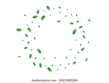Light Green Leaf Background White Vector. Leaves Spring Illustration. Silhouette Design. Green Growth Texture. Foliage Ecology.