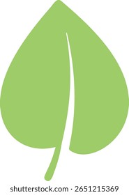 Light green leaf featuring a prominent central vein and stem, representing themes of nature, environment, ecology, and sustainability, isolated against a clean white background