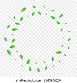 Light Green Leaves Background Transparent Vector. Leaf Icon Frame. Branch Design. Greenish Vibrant Card. Foliage Copy.