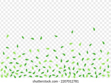 Light Green Leaves Background Transparent Vector. Plant Copy Card. Rustic Design. Greenish Decoration Frame. Greenery Environmental.