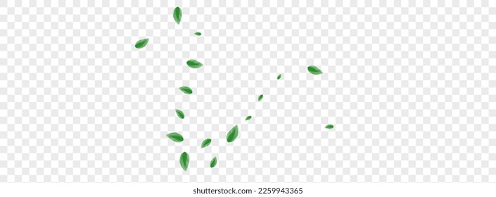 Light Green Leaves Background Transparent Vector. Plant Wild Card. Rustic Texture. Green Shape Design. Leaf Forest.