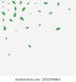 Vector transparente de fondo de hojas verde claro. Ilustración de ecología verde. Textura simple. Marco verde vibrante. Planta Viento.