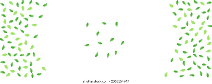 Light Green Leaves Background White Vector. Leaf Growing Texture. Motion Design. Green Drink Frame. Foliage Agriculture.
